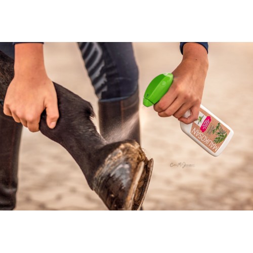 Bense & Eicke Maukosan Muck and Thrush Spray 250ml