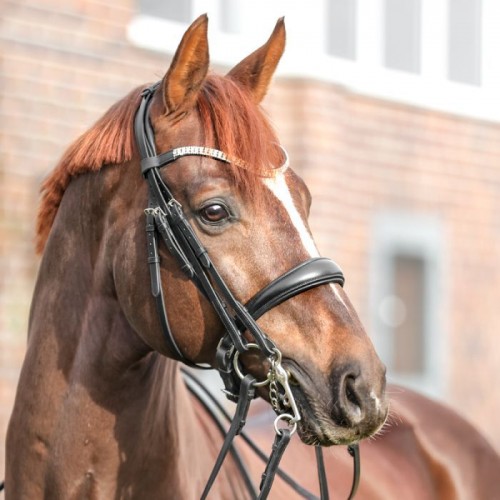 Kavalkade Sonya Double Bridle