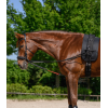 Waldhausen Training Aid W-trainRein