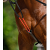 Waldhausen Training Aid W-trainRein