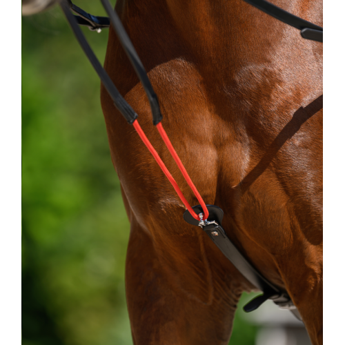 Waldhausen Training Aid W-trainRein