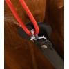 Waldhausen Training Aid W-trainRein