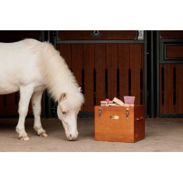 для ухода Deluxe Sammy детский Body щётка Unicorn