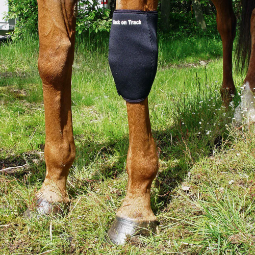 Back on Track Knee Protector Left