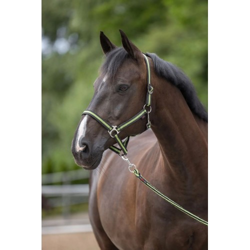 Covalliero Nylon Halter Hippo