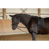 Covalliero Triangle Reins