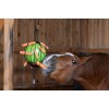 Covalliero Therapy Play Ball