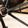 QHP Drawrein Basic pro
