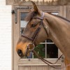 Velari Eggbutt Snaffle Flex Hard 20mm