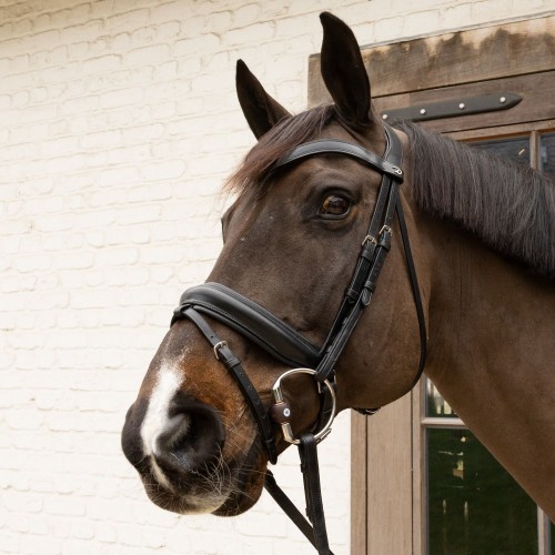Velari Eggbutt Snaffle Flex Hard 20mm