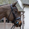 Velari Eggbutt Snaffle Flex Medium 20mm
