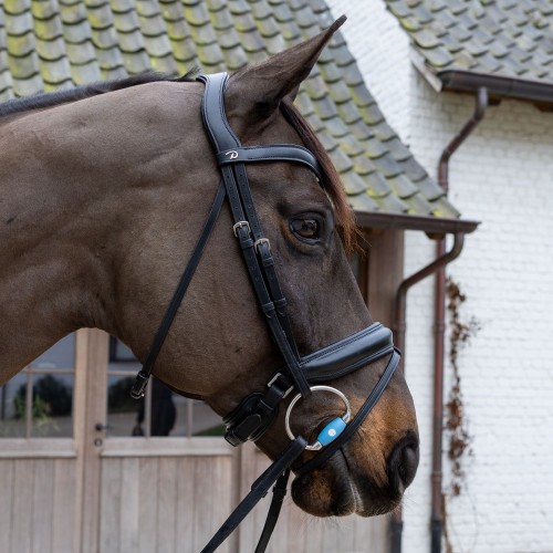 Velari Eggbutt Snaffle Flex Medium 20mm