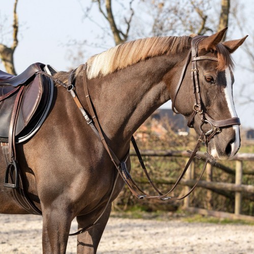 QHP Breastplate Basic pro