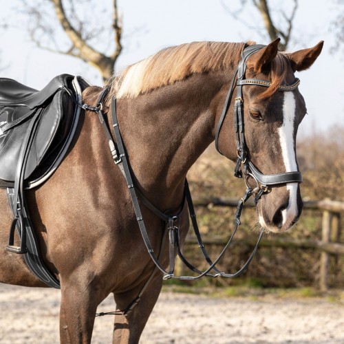 QHP Breastplate Basic pro