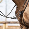 QHP Breastplate Basic pro
