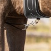 QHP Breastplate Basic pro