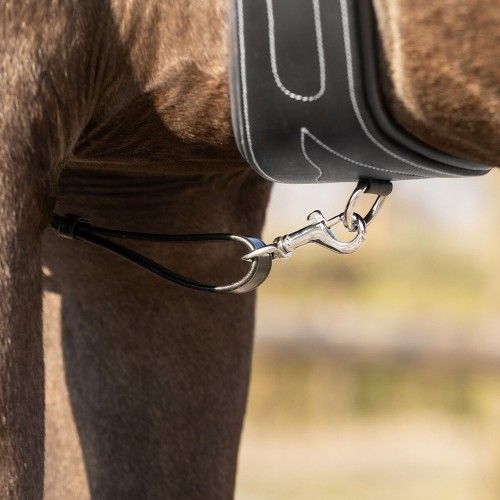 QHP Breastplate Basic pro