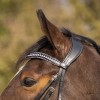QHP Browband Skye