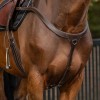 QHP Breastplate with Long Bridge