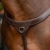 QHP Breastplate with Long Bridge