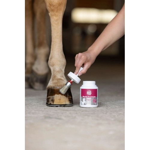 MagicBrush Premium Hoof Oil