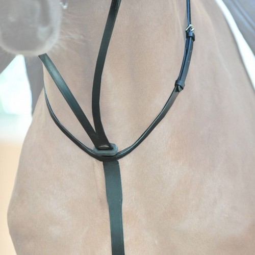 Kavalkade Martingale Ecoline