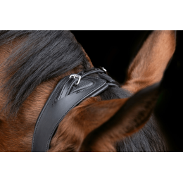 Covalliero Anatomical уздечка
