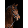 Covalliero Anatomical Bridle