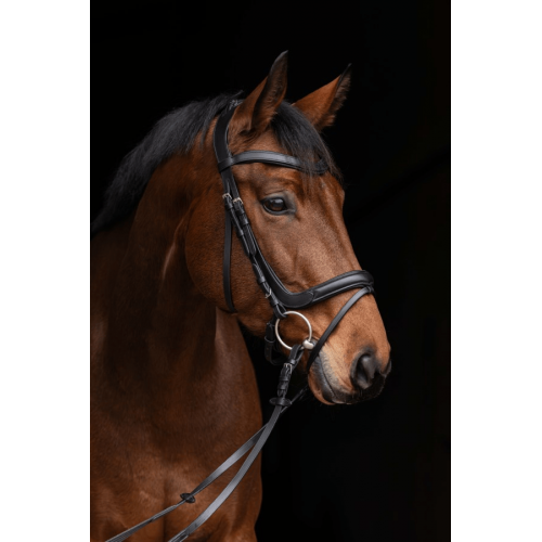 Covalliero Anatomical Bridle