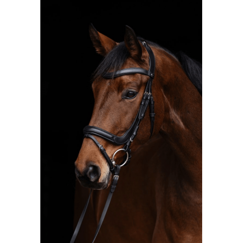 Covalliero Anatomical Bridle