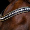 Imperial Riding SS26 Browband IRHMaxima