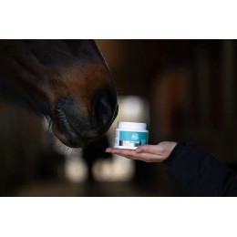 MagicBrush Lucky Lips Lip Balm для Horses - Apple