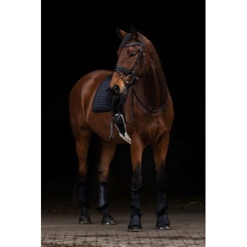 Covalliero FW25 Saddle Pad