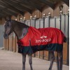 HV Polo Turnout Rug HVPEssential