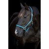 HorseGuard SS26 Striped halter