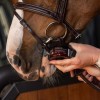 Grooming Deluxe Bit Balm Bubblegum