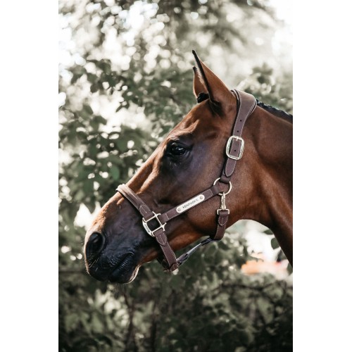 Kentucky Anatomical Suede Halter
