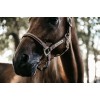 Kentucky Anatomical Suede Halter