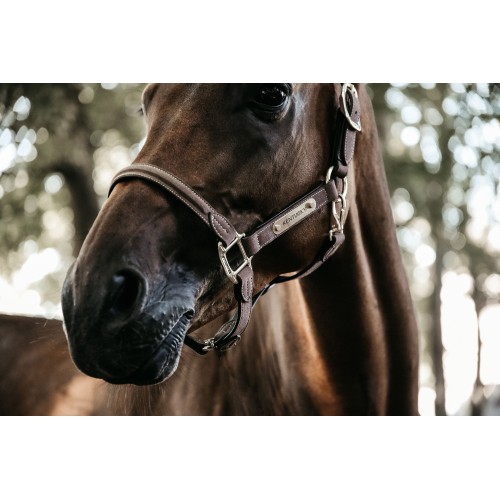 Kentucky Anatomical Suede Halter
