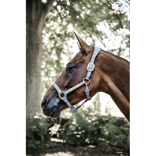 Kentucky Anatomical Suede Halter