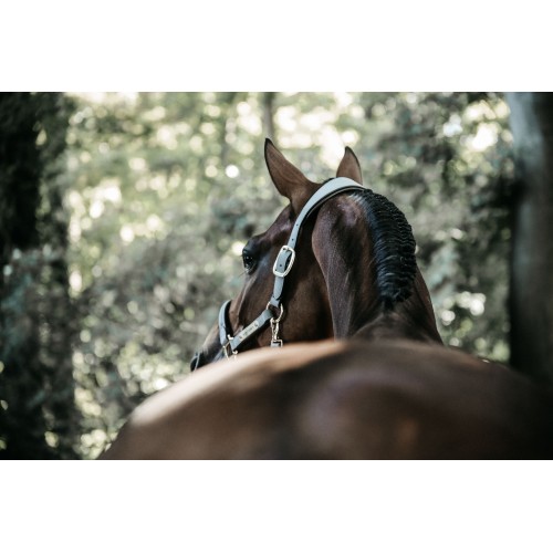 Kentucky Anatomical Suede Halter
