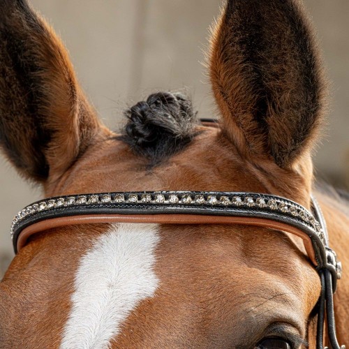 Harry's Horse Bridle Black Cognac