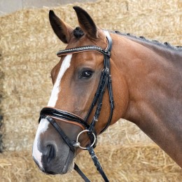Harry's Horse уздечка чёрный Cognac