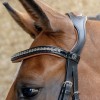 Harry's Horse Bridle Black Cognac
