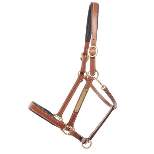 Kavalkade Leather Halter Bennet