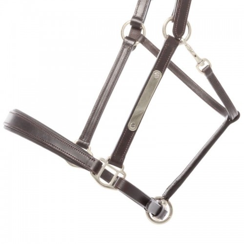 Kavalkade Leather Halter Bennet