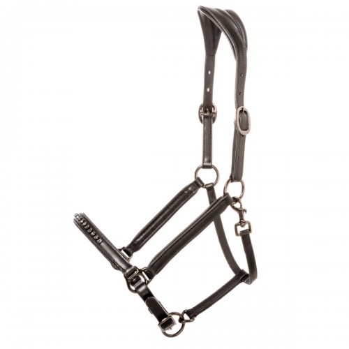 Kavalkade Icelandic Horse Halter Freydis