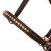 Kavalkade Icelandic Horse Halter Freydis