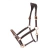 Kavalkade Icelandic Horse Halter Freydis