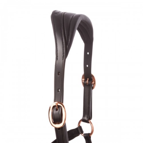 Kavalkade Icelandic Horse Halter Freydis